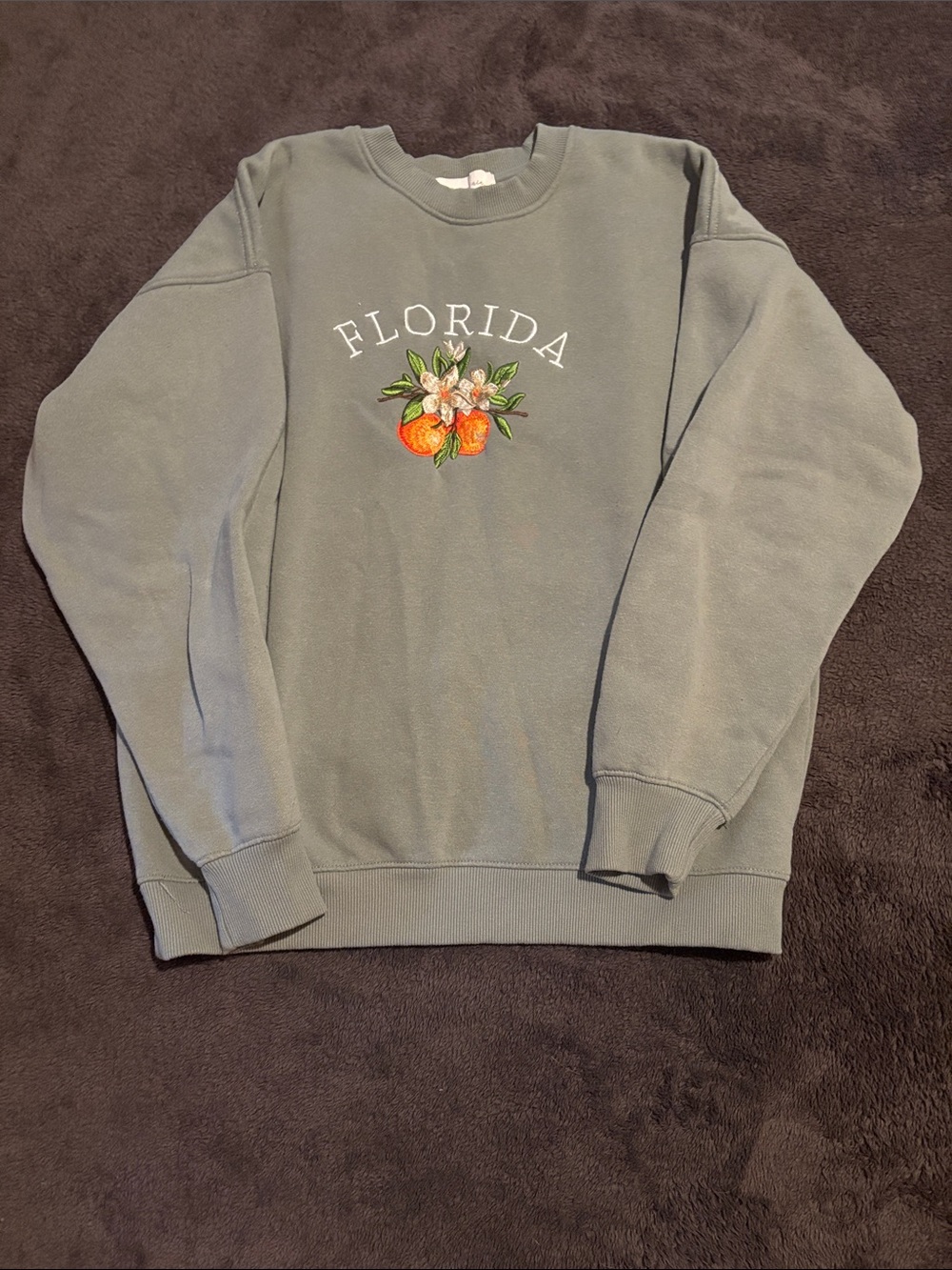 State of Mind Florida Embroidered Sweatshirt in Sage Green